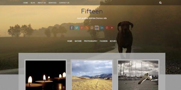 photo gallery template 47
