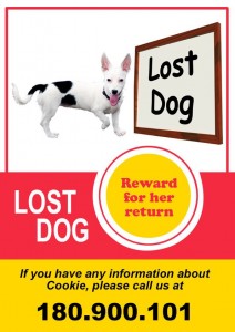 Lost Dog Flyer Template-1