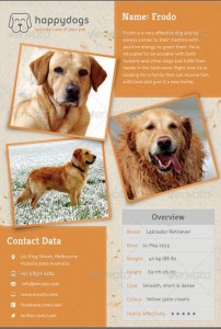 Lost Dog Flyer Template-15