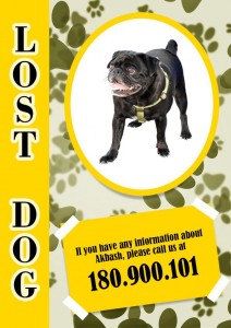 Lost Dog Flyer Template-4