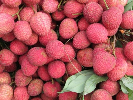 Litchi - things that are red