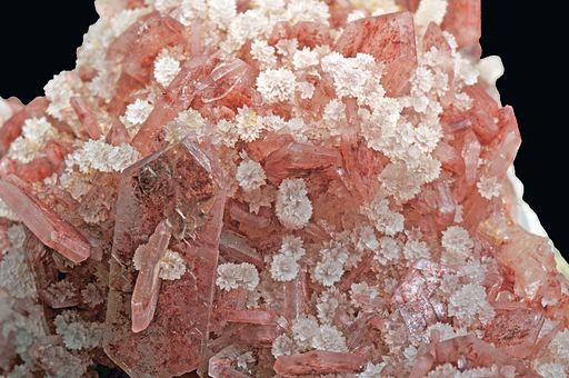Pink_Himalayan_Salt