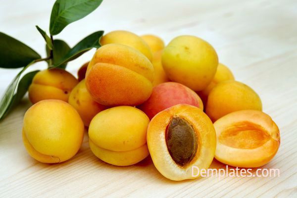 Apricots - Things That are Yellow