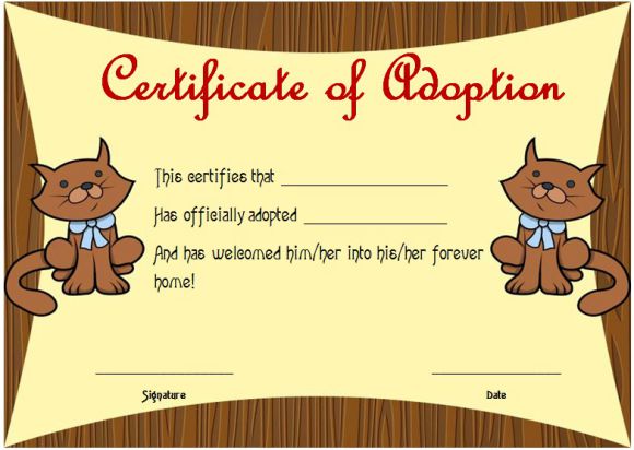 Toy Adoption Certificate Template 13 Free Word Templates