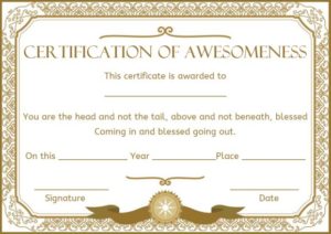 Certificate of Awesomeness Templates